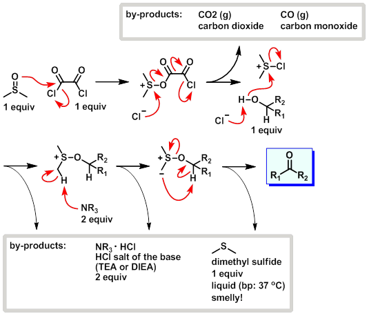 download grzimeks encyclopedia