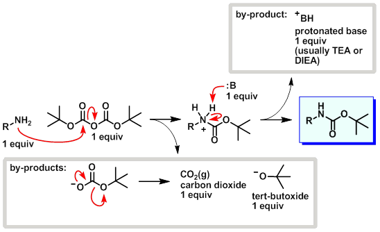 Boc Protection Mechanism (Boc2O + Base)