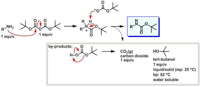 Boc protection mechanism