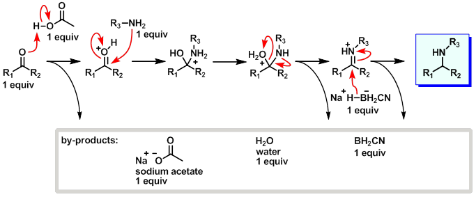 Reduction amination mechanism using sodium cyanoborohydride