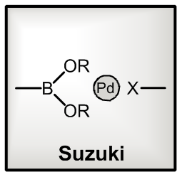 Palladium Catalyzed Suzuki Reaction